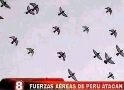 Fuerzas peruanas - meme