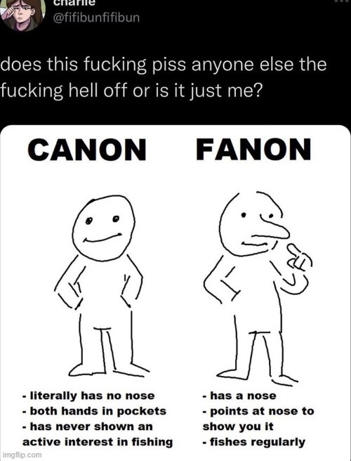 Canon Fanon meme