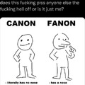 Canon Fanon meme