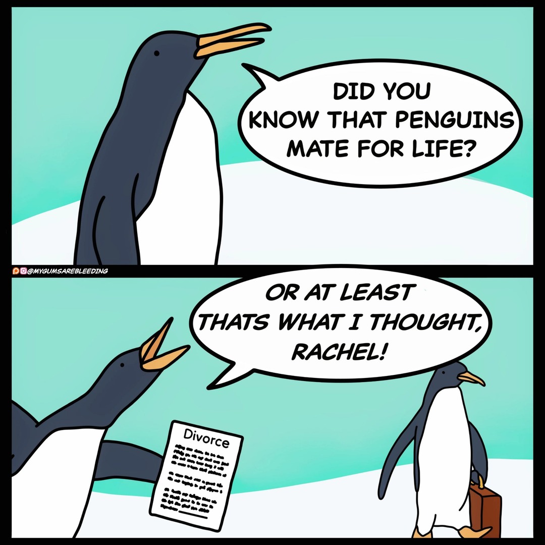 The best Penguins memes :) Memedroid