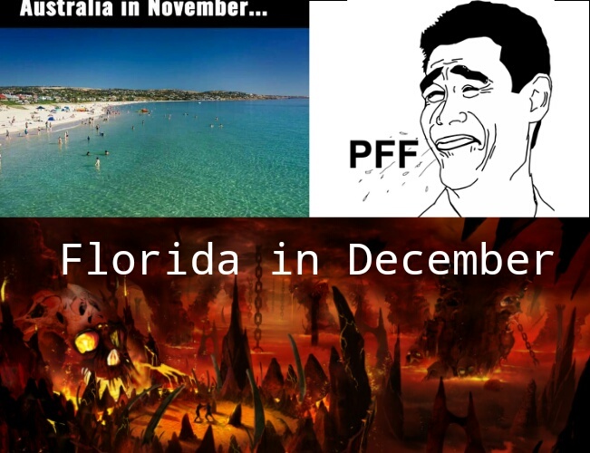 Florida T.T - meme