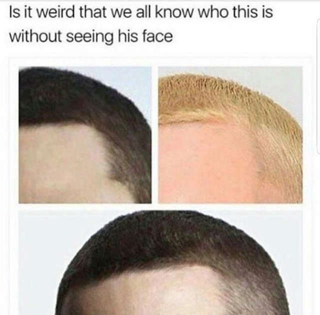 The Best Haircut Memes Memedroid
