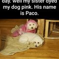 Poor Paco