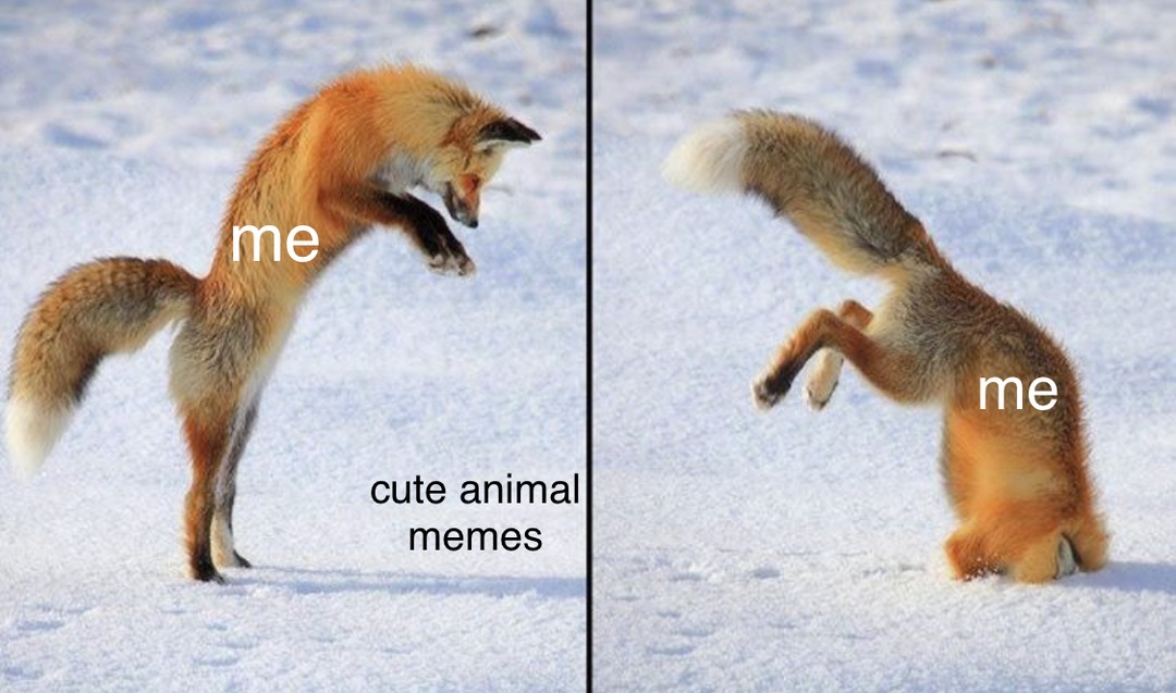 fox go aww - meme
