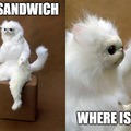 Where is my sandwich?