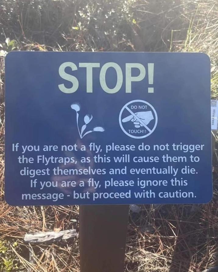 STOP if you are not a fly - meme