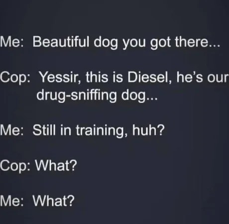 What? - meme