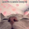 commented item thumbnail