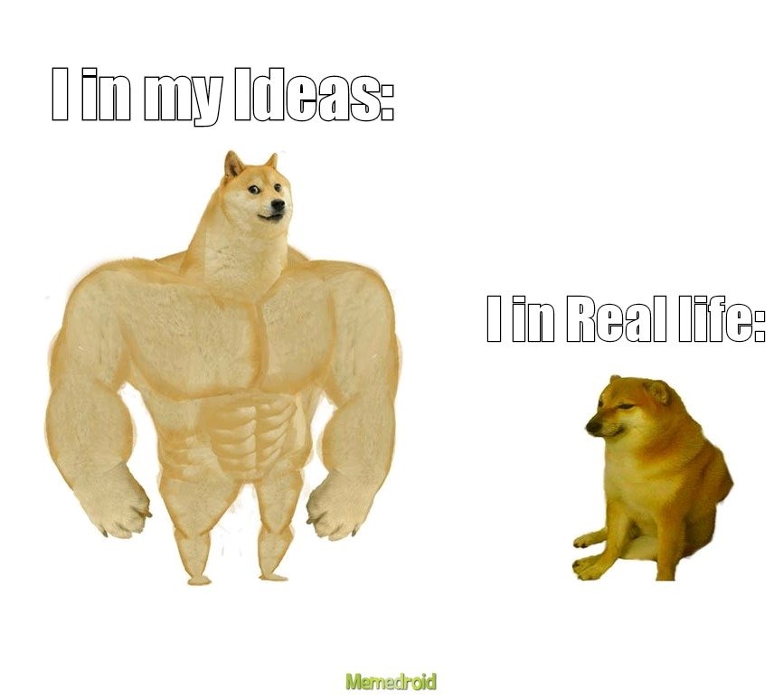 Imagination VS Reality - meme