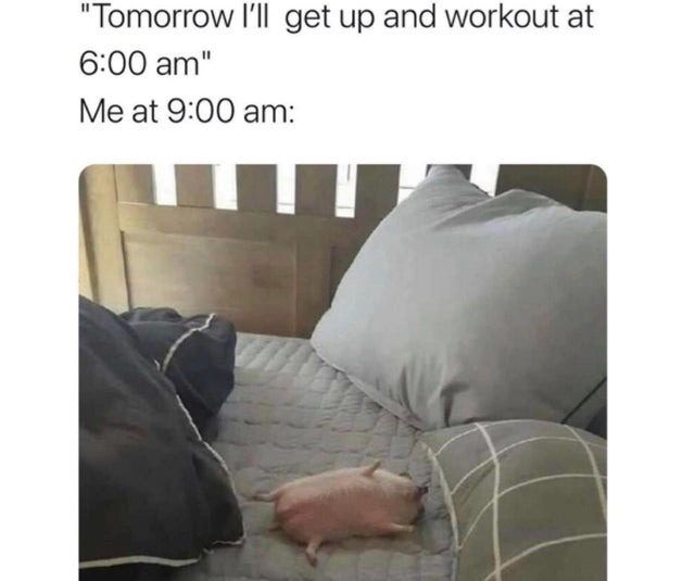 Tomorrow I will get up and workout at 6:00 am - meme