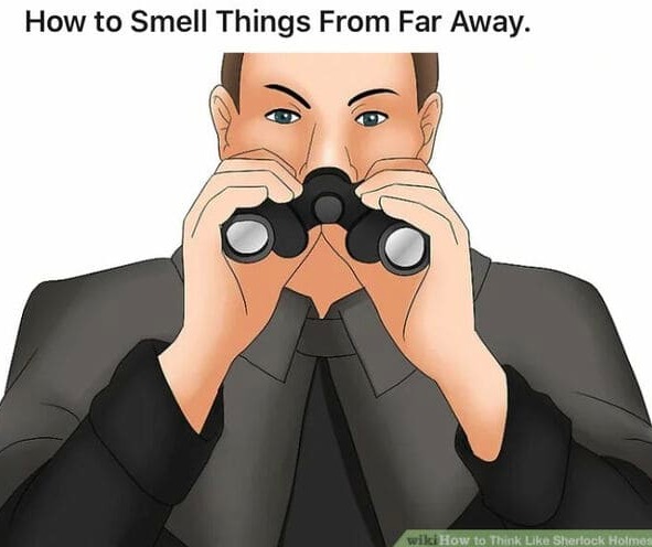 Wikihow artists are goofy - meme