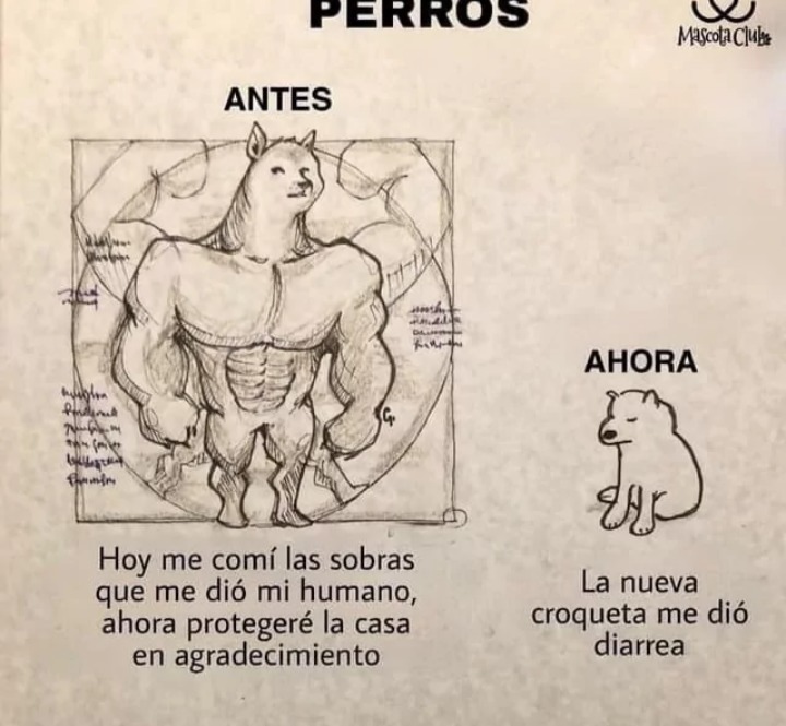 Xdxdxdxdxdxdxd - meme