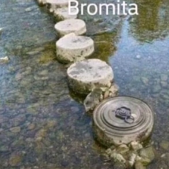 Bromita.  - meme
