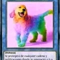 Perro gay