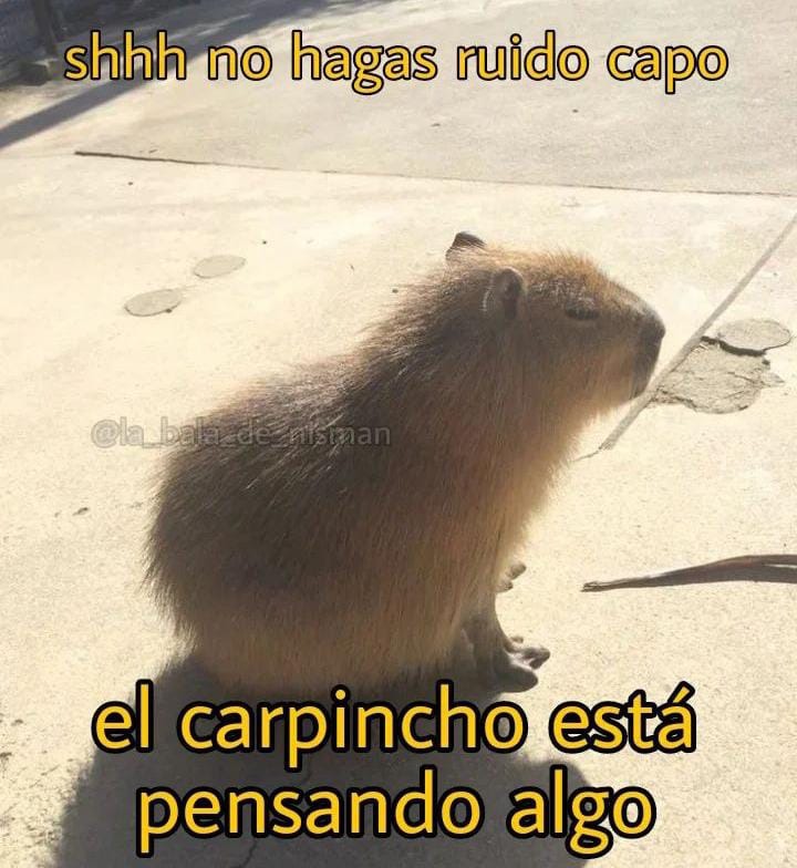 Carpincho shitpost - meme