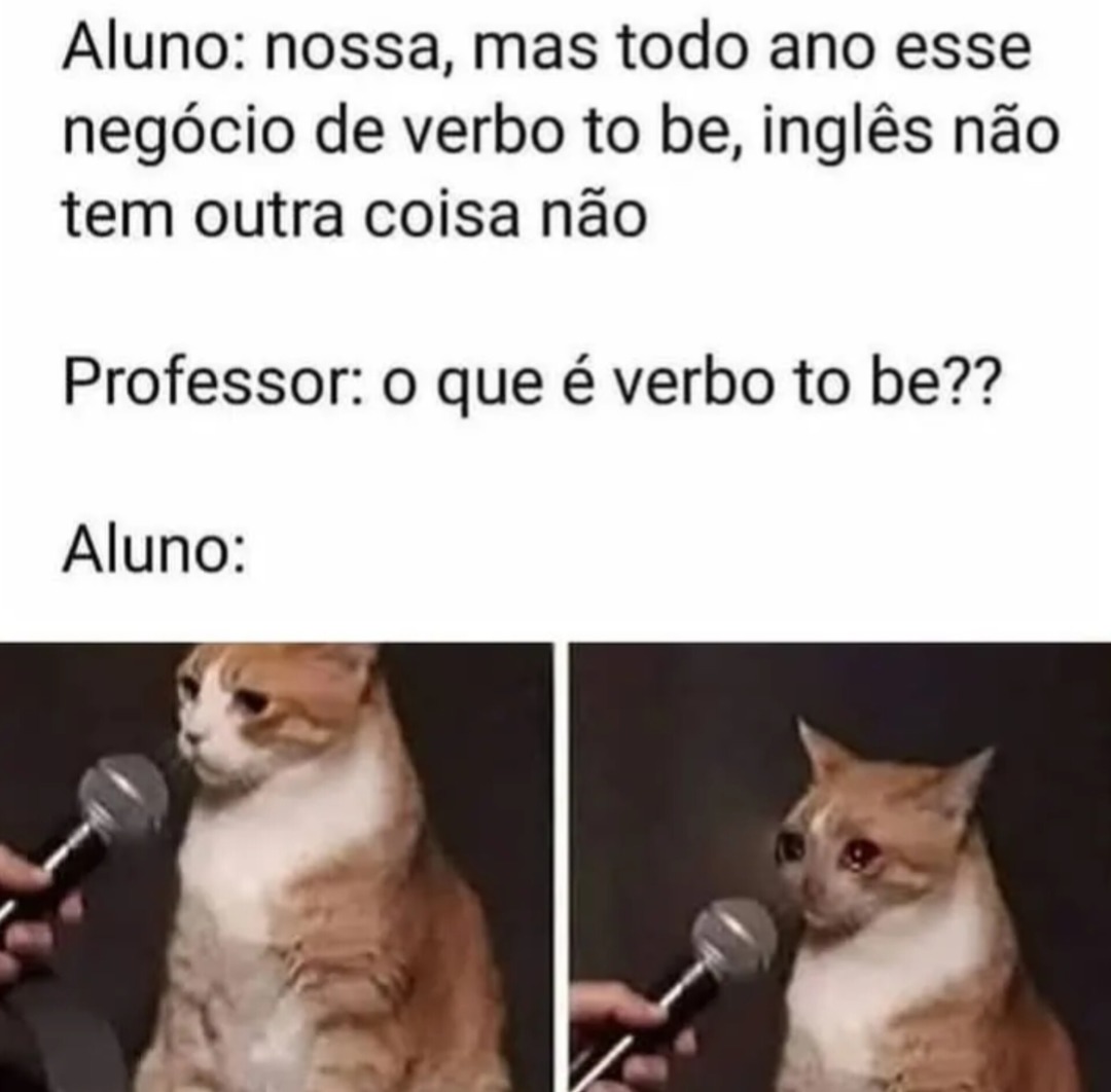 Verbo To Be - meme