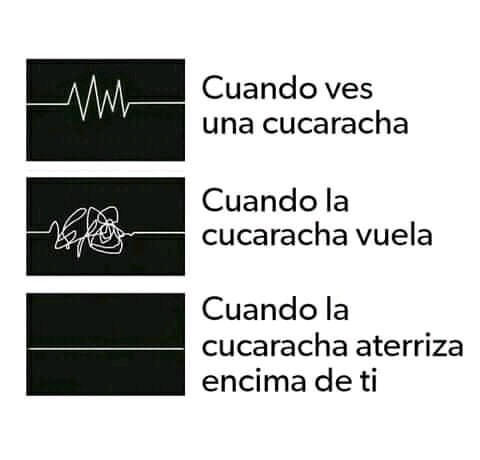 Ya se murió - Meme subido por Andres_El_Chad :) Memedroid