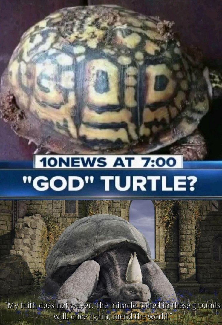 Welcome ye tarnished to the Church of the Turtle (Isn't that actually a tortoise?) - meme