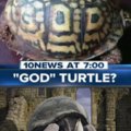 Welcome ye tarnished to the Church of the Turtle (Isn't that actually a tortoise?)