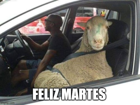Feliz martes - meme