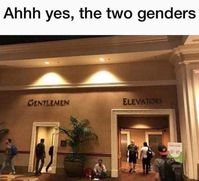 There are only two genders - meme
