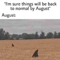 Things will be back to normal by August