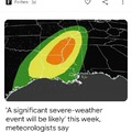 Beware the avocado storm
