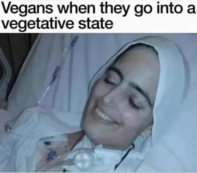 Happy vegan - meme