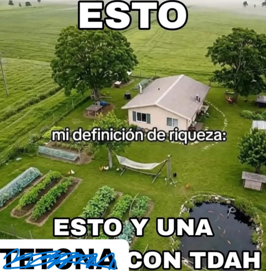 Mi definición de riqueza: esto y una persona con TDAH gritándome cosas - meme