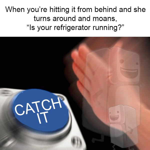 I need to know if your refrigerator is running or not. OC - meme