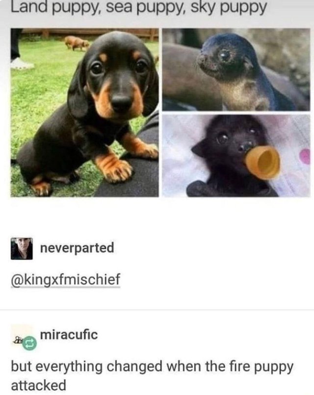 Land puppy, sea puppy, sky puppy - meme