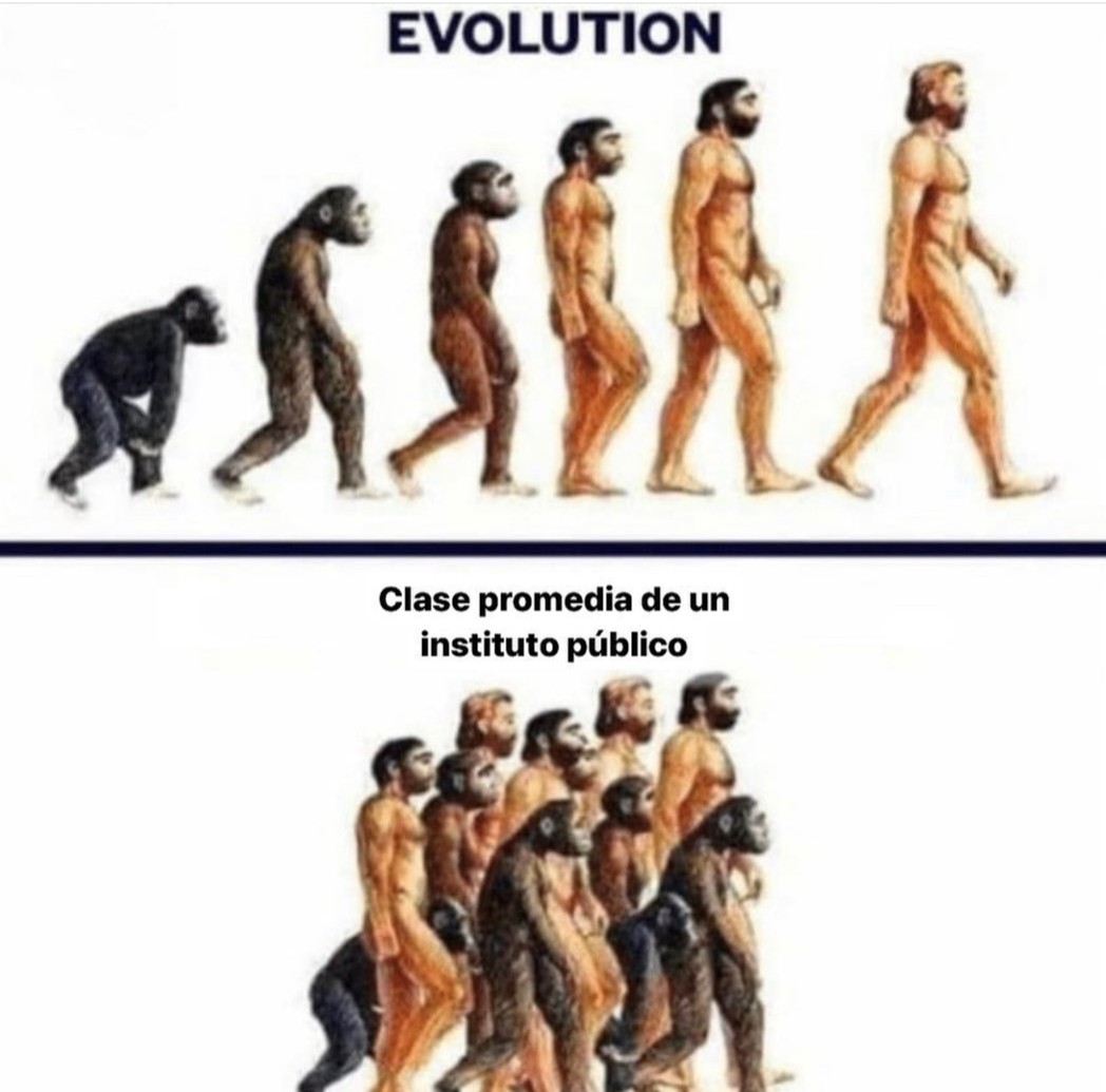 Evolución - meme