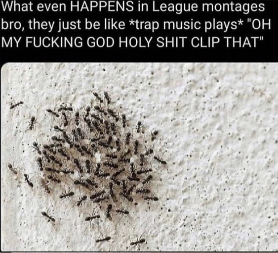 Le league - meme