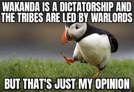 Opinion about Wakanda - meme
