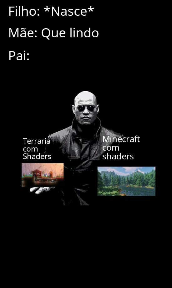 Me diga: Terraria com Shaders ou Minecraft com Shaders? - meme