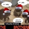 Feliz natal, gatos do catdroid