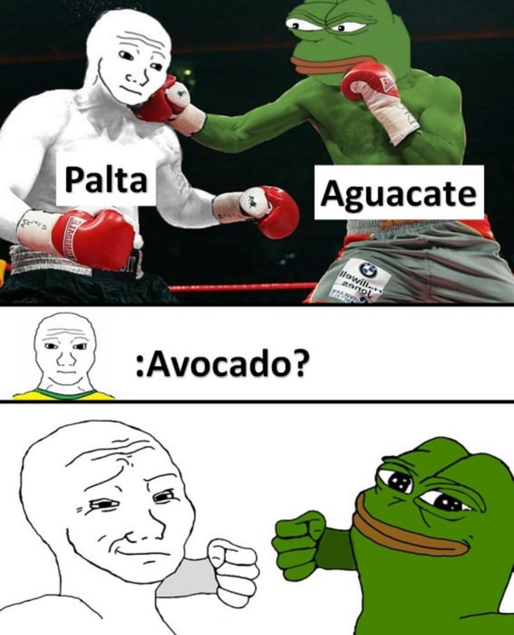 Palta, aguacate, avocado... la guerra eterna - meme