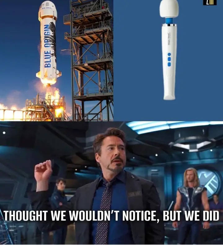Dongs in a dildo - meme
