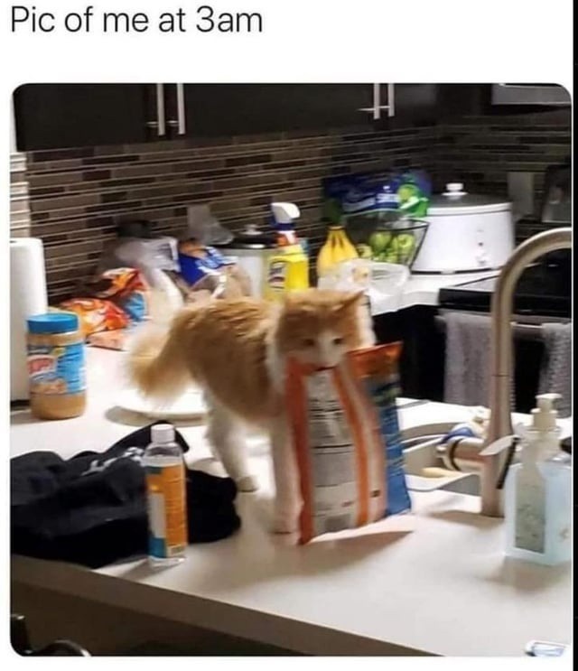 Me at 3am: absolutely not thriving - meme