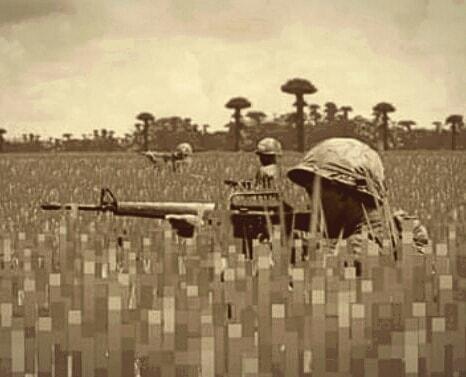 imagens reais da guerra do Vietnã - meme