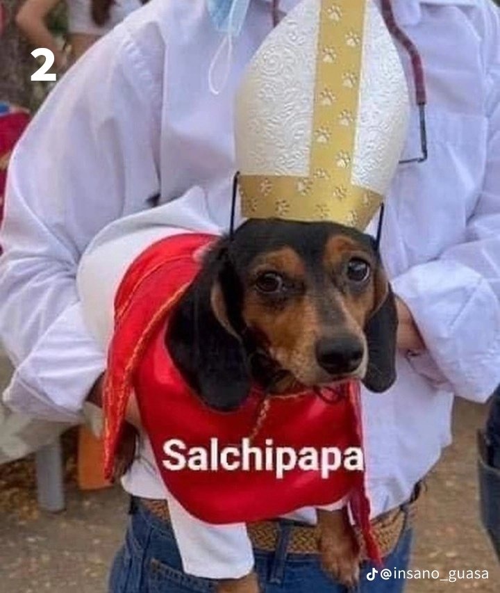 Salchipapa - meme