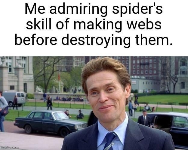Respect the spider, then wreck its whole career - meme