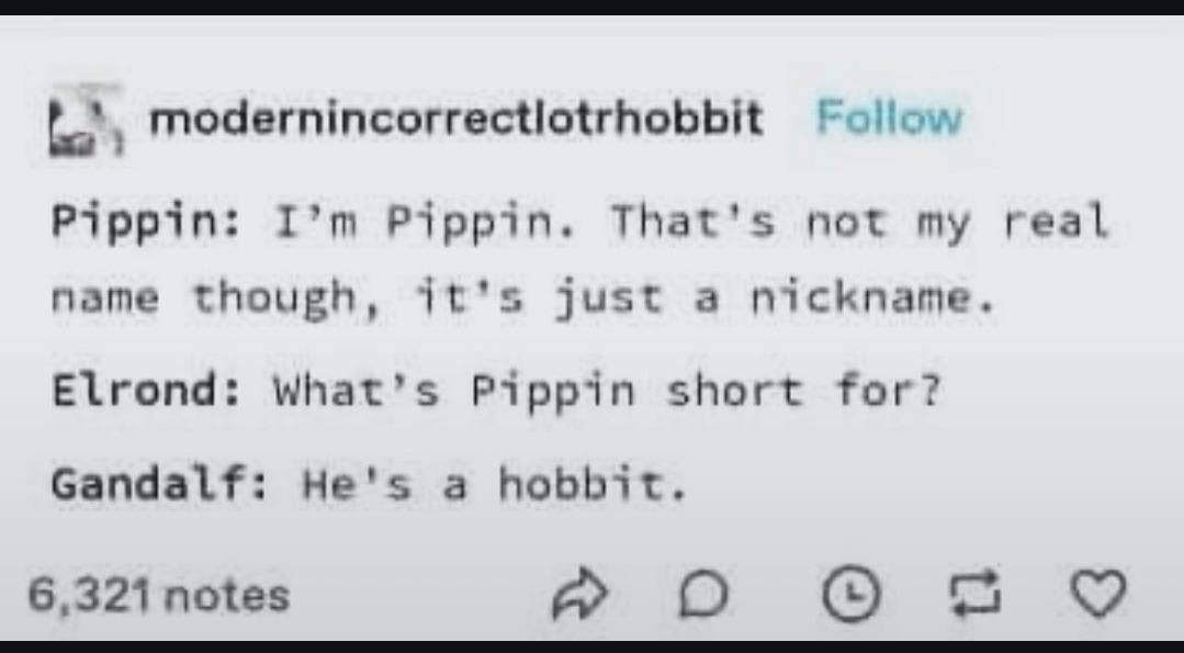 Pippin's real name? Doesn’t matter, he's hobbit short - meme