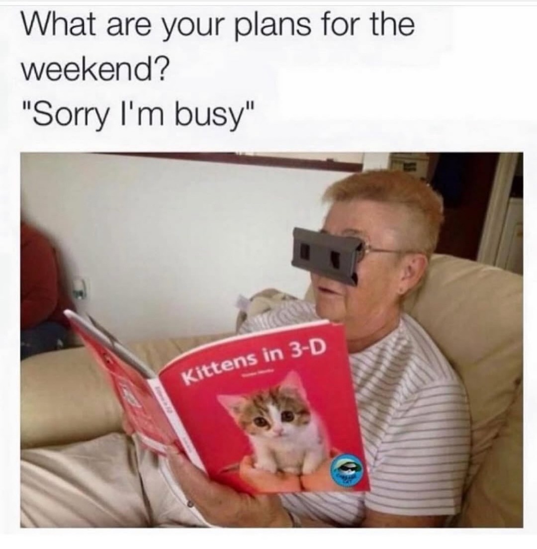 weekend plans? sorry, booked with kittens in 3D - meme