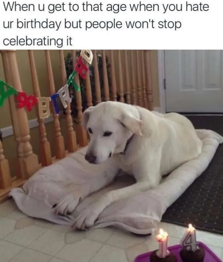 Happy birthday doggo meme