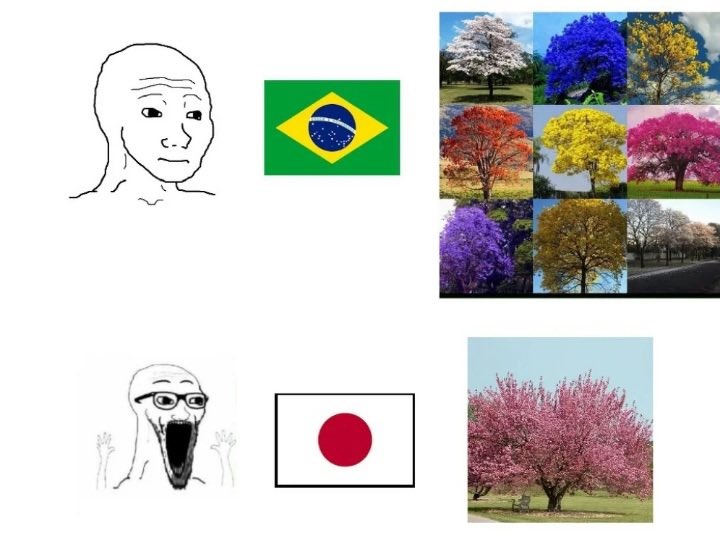 BRASIL - Meme by RAHTO :) Memedroid