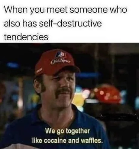 Self destructive tendentcies - meme