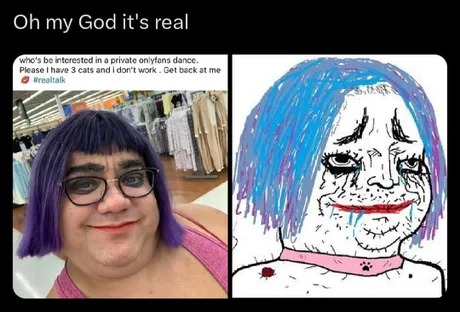 The trans wojak is real! - meme