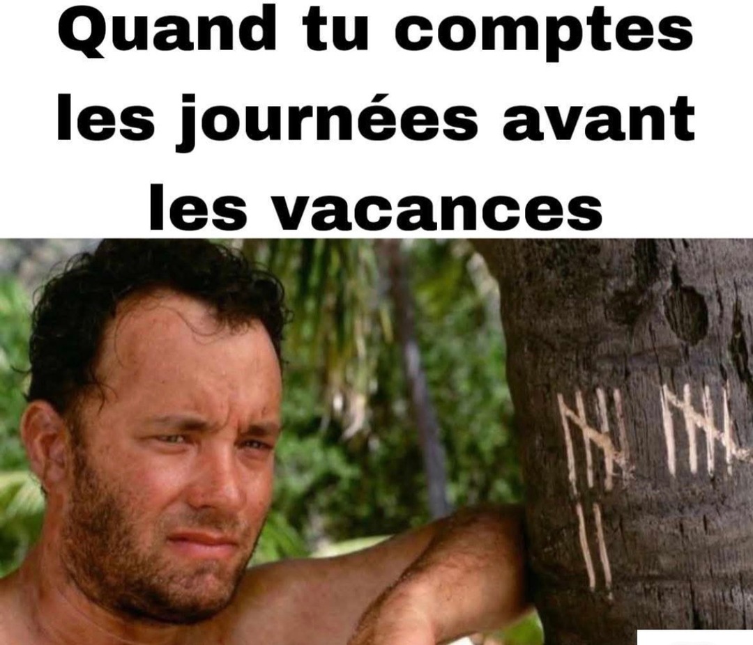 Compter les jours avant les vacances, leitmotiv de ma vie - meme