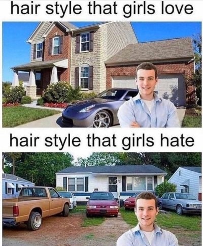 Hair style - meme